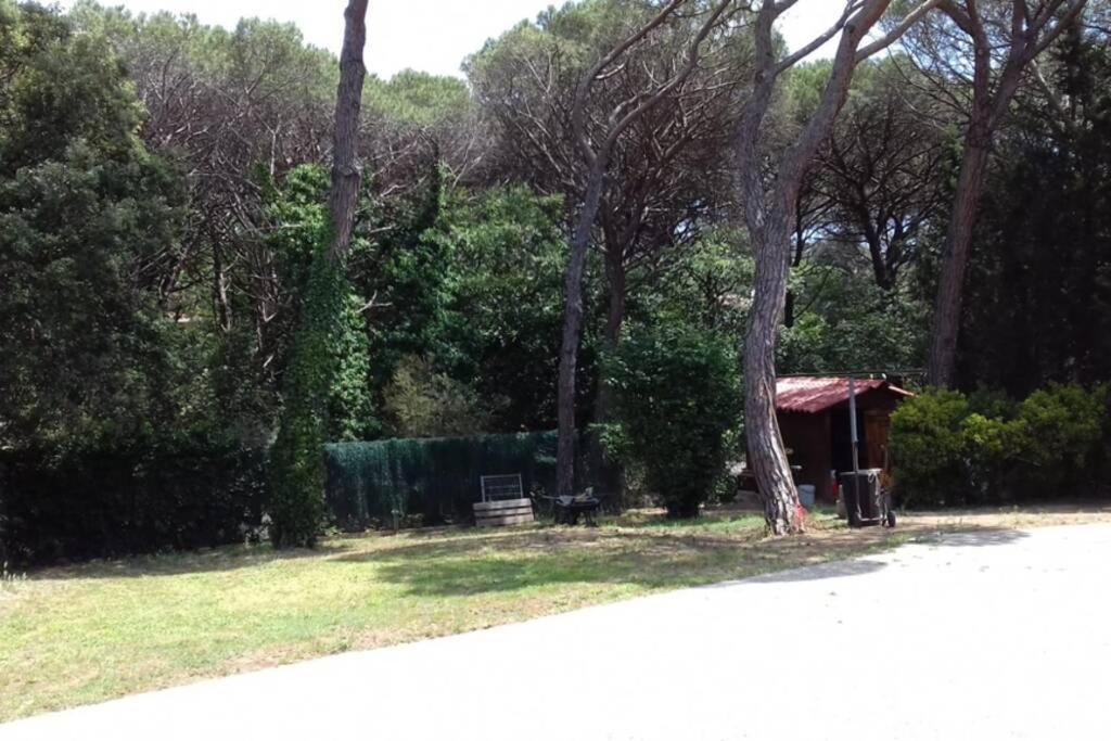Casa En Parque Natural Del Montseny. Santa María de Palautordera Esterno foto